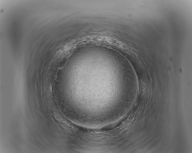 X0000067371489200604071427