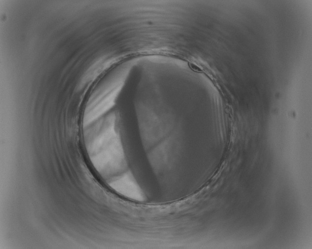 X0000067370002200604131853