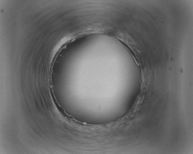 X0000067370003200604131853