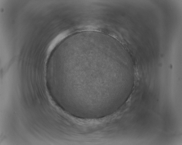 X0000067370006200604131853