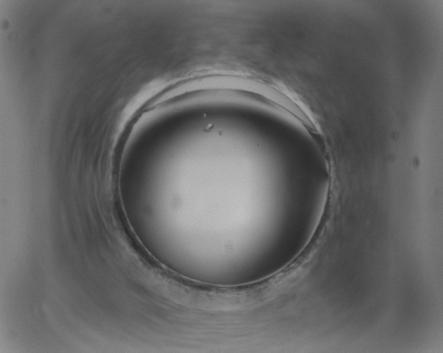 X0000067370008200604131853