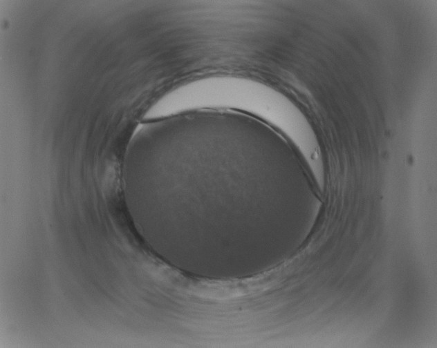 X0000067370029200604131853