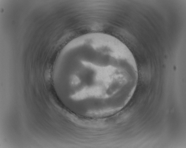 X0000067370032200604131853