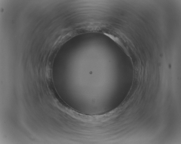 X0000067370035200604131852
