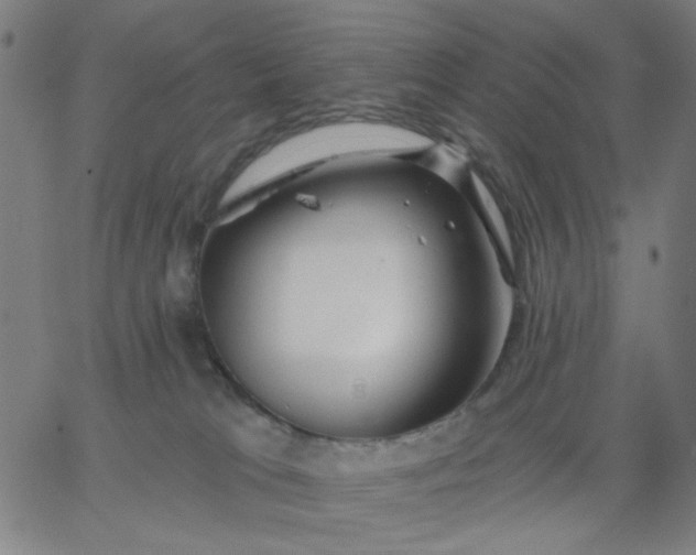 X0000067370037200604131852