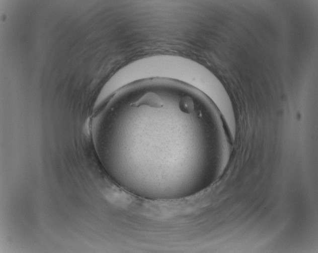X0000067370041200604131852