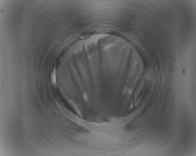 X0000067370046200604131852