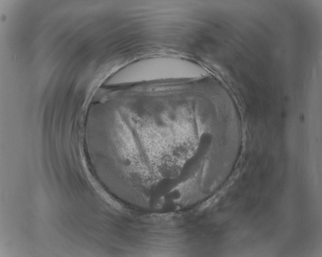 X0000067370049200604131851