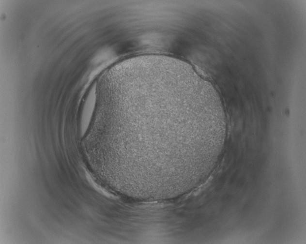 X0000067370050200604131851