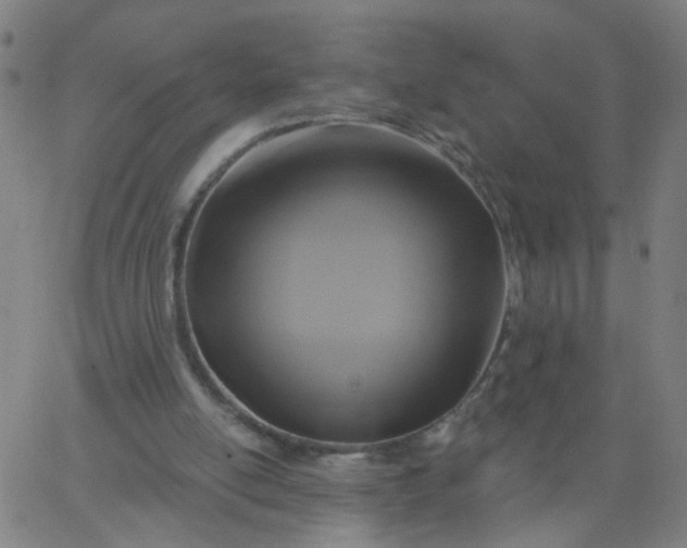 X0000067370054200604131851