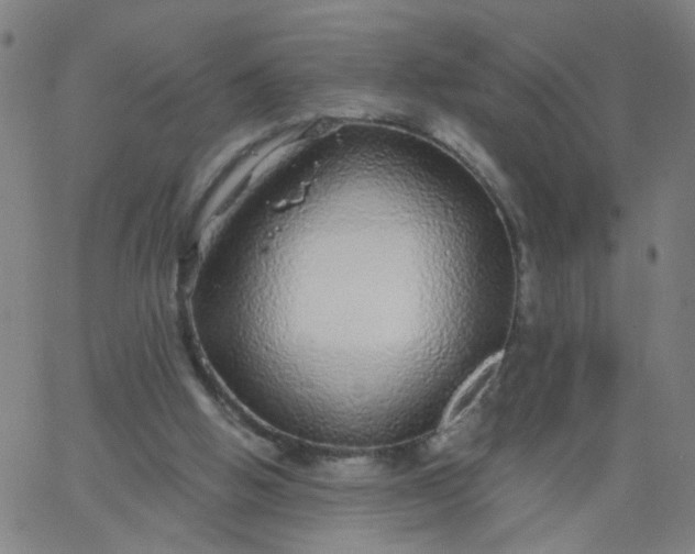 X0000067370058200604131852