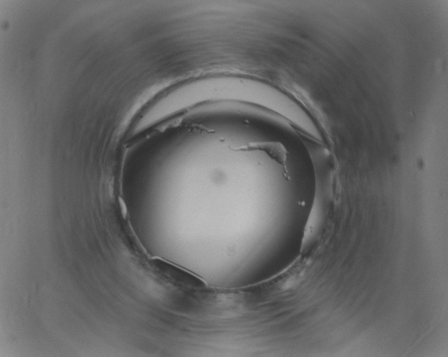 X0000067370060200604131852