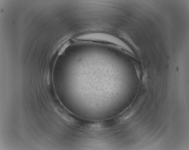 X0000067370068200604131852