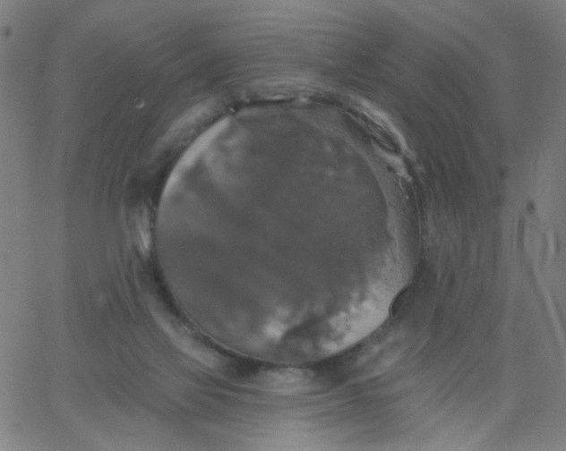 X0000067370069200604131852