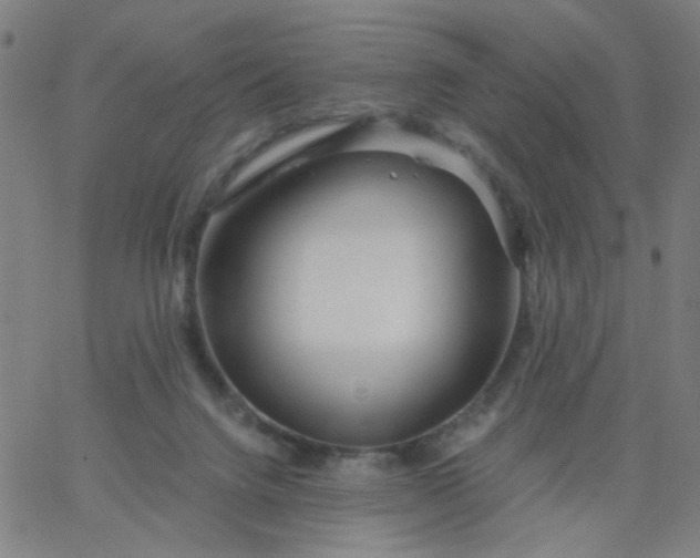 X0000067370072200604131852