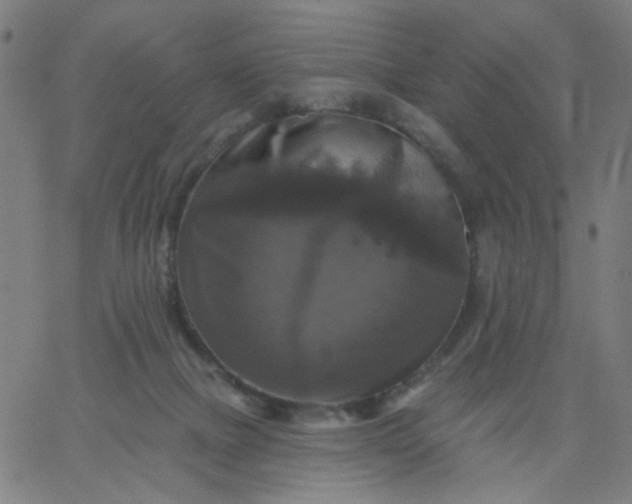 X0000067370073200604131852
