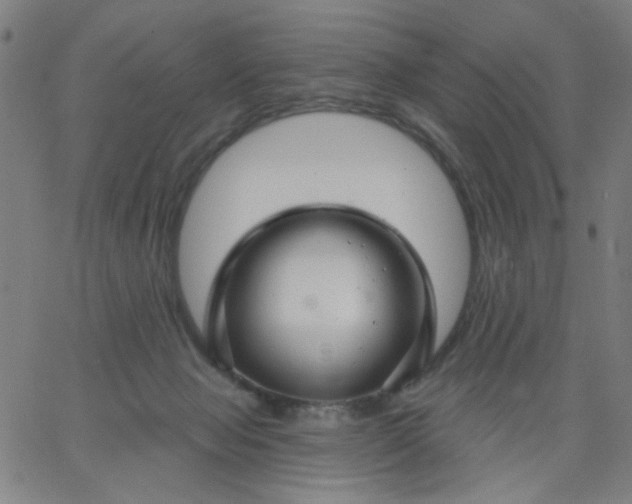 X0000067370077200604131852