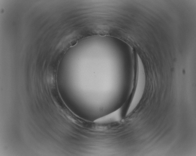 X0000067370084200604131852