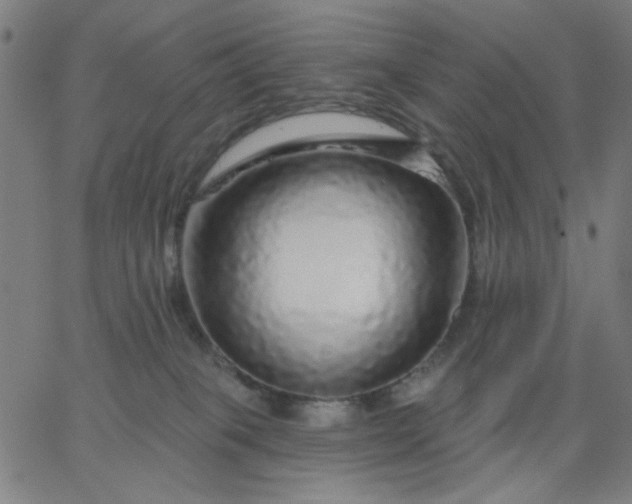 X0000067370085200604131852