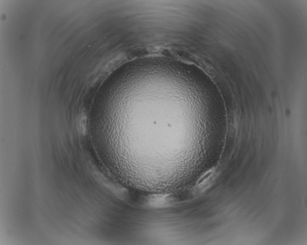 X0000067370090200604131852