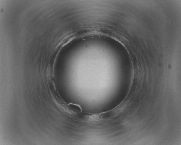 X0000067370092200604131852