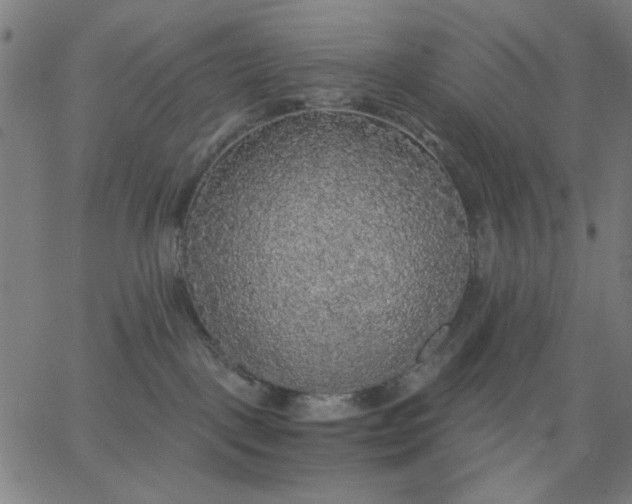 X0000067370093200604131852