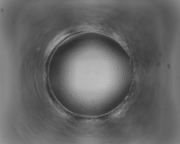 X0000067370103200604131851