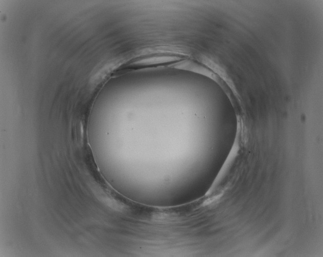 X0000067370109200604131851