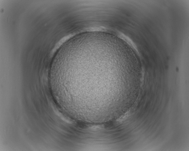 X0000067370155200604131850