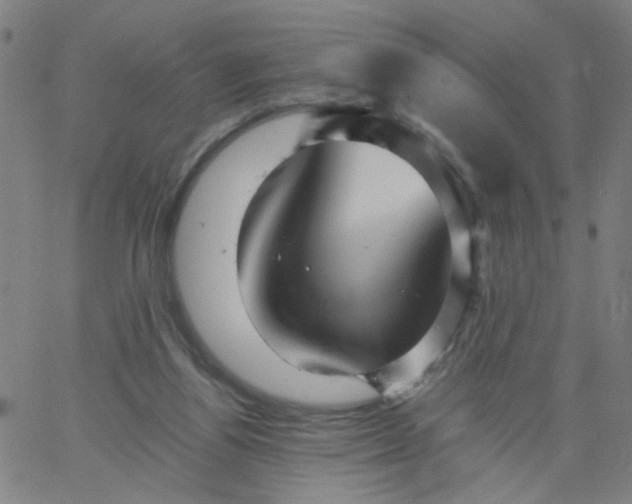 X0000067370164200604131850