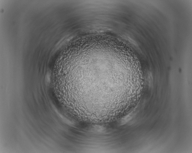 X0000067370166200604131850
