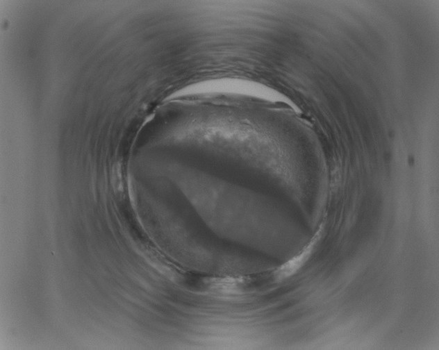 X0000067370182200604131850