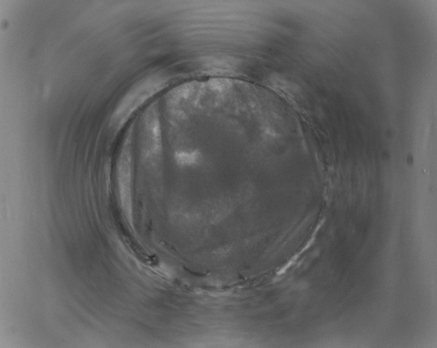 X0000067370194200604131850