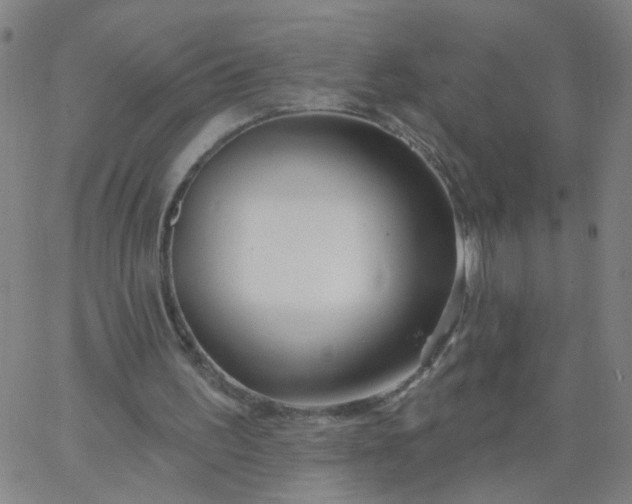 X0000067370195200604131850