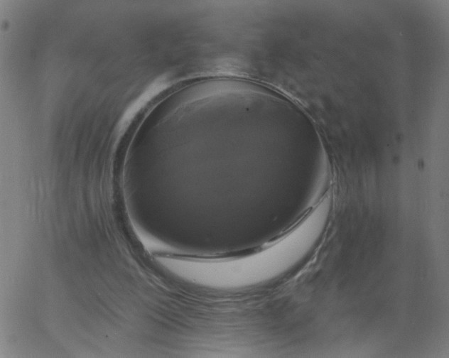 X0000067370200200604131850