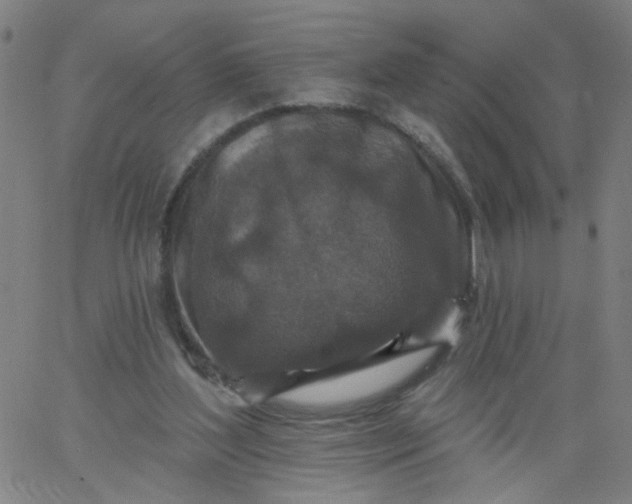 X0000067370204200604131850
