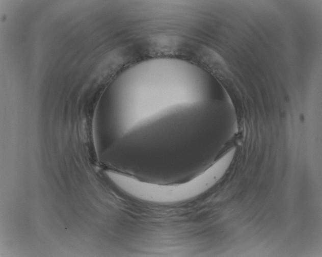 X0000067370224200604131849