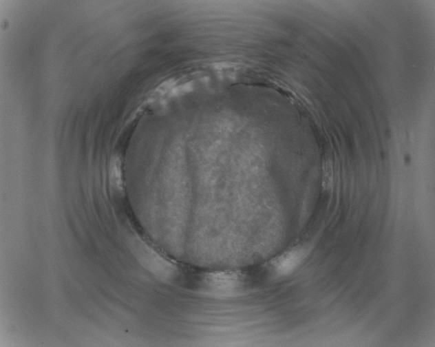 X0000067370238200604131849