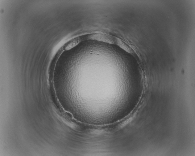 X0000067370246200604131848