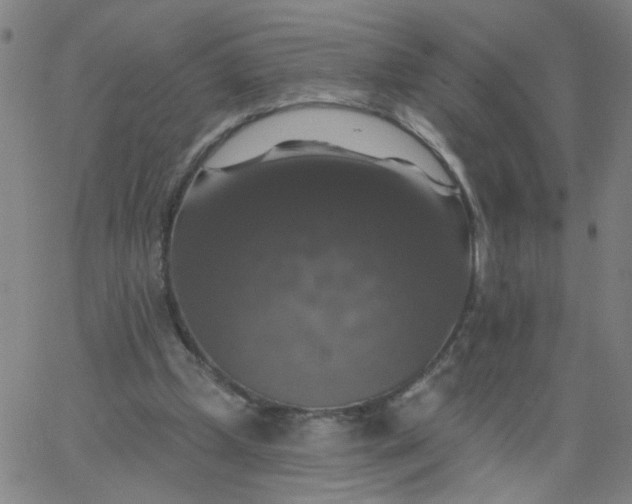 X0000067370249200604131848