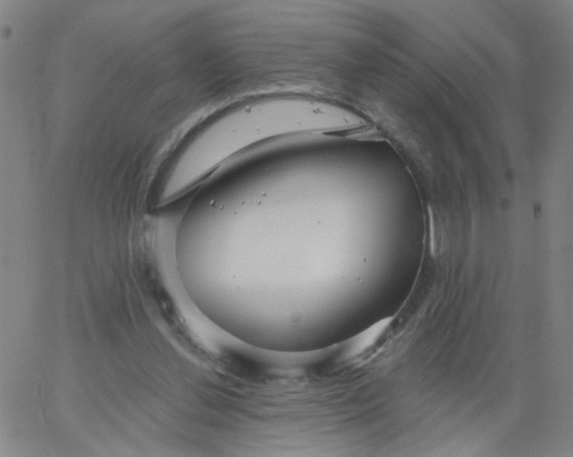 X0000067370252200604131848
