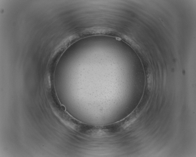 X0000067370254200604131848