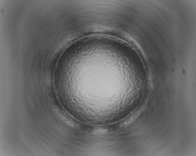 X0000067370257200604131849