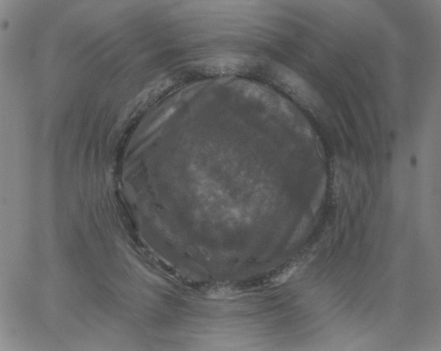 X0000067370258200604131849