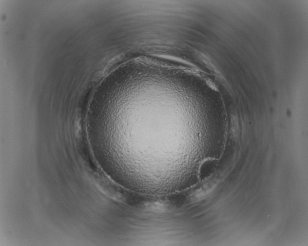 X0000067370259200604131849