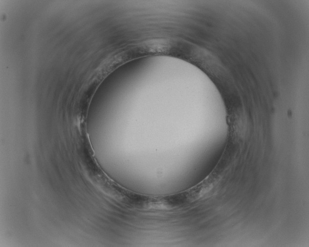 X0000067370262200604131849