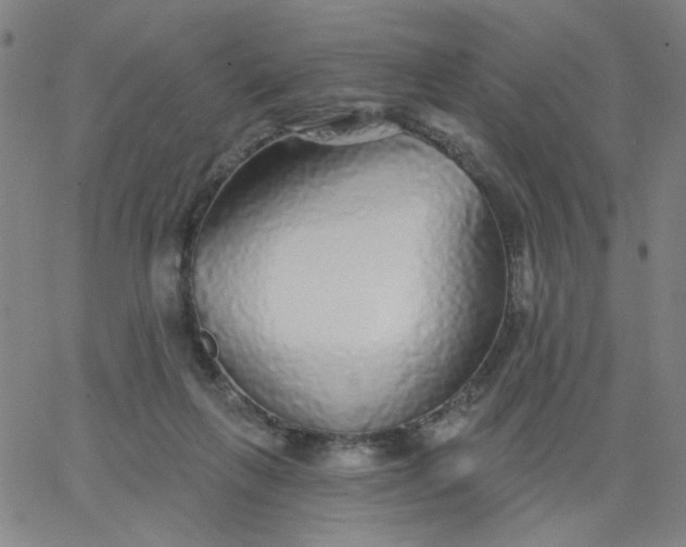 X0000067370263200604131849