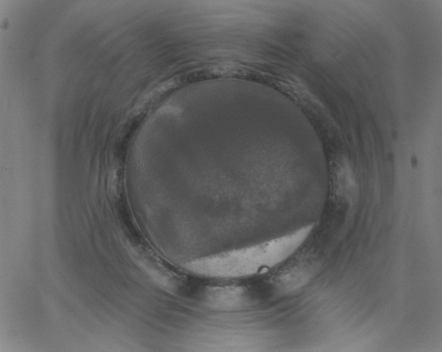 X0000067370266200604131849