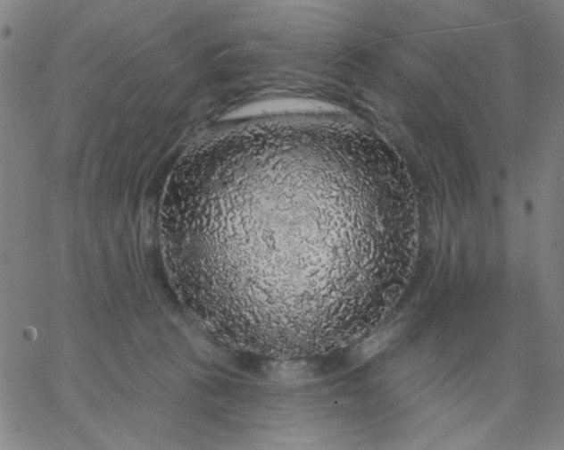 X0000067370273200604131849