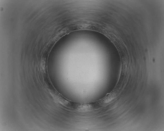 X0000067370274200604131849